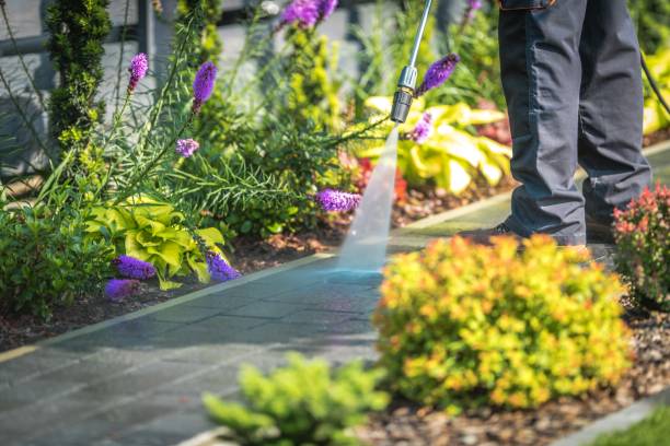 Best Roof Cleaning and Mildew Removal in Mulberry, IN